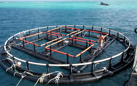 深海養魚網箱